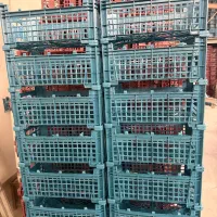 سبد مناسب حمل و نگهداری انواع محصولات|ظروف نگهدارنده، پلاستیکی، یک‌بارمصرف|هشتگرد, تهران دشت|دیوار