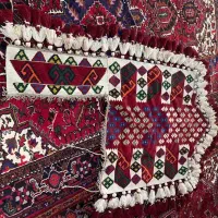 جل زینتی اسب