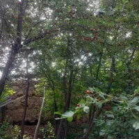 فروش-یک-قواره-زمین-مسکونی