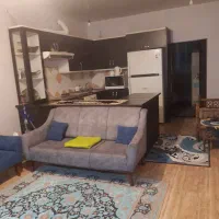 واحد۵۵متری