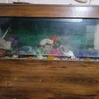 آکواریوم بزرگ ۱۲۰×۵۰×۳۵ با تمامی لوازم
