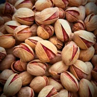 پراید اجاره