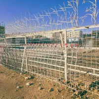 حفاظ منزل دزدگیر نرده جوجه تیغی همراه با جوشکاری|مصالح و تجهیزات ساختمان|شیراز, شهرک گلستان شمالی|دیوار