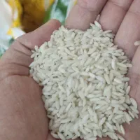 برنج/عنبربو/هاشمی/خوش عطر و طعم/امکان مرجوعی|خوردنی و آشامیدنی|قم, پردیسان|دیوار