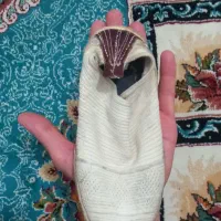 گیوه|کیف، کفش، کمربند|آباده, |دیوار