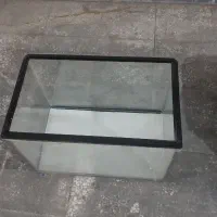 شیشه ی آکواریوم|ماهی|تهران, کاج|دیوار