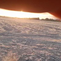 زمین کشاورزی و باغی۱۹۰۰متری چسب تویسرکان|فروش زمین و ملک کلنگی|تویسرکان, |دیوار