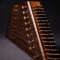 تدریس سنتور، تنبک دف ...