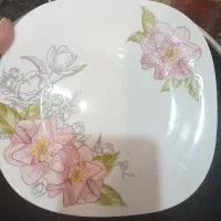 سرویس ارکوپال