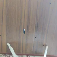 چرخ پشم ریسی