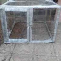 توری و لانه مرغ و خروس و کبوتر و...