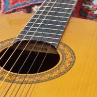 گیتار c40|گیتار، بیس، امپلیفایر|بیرجند, |دیوار