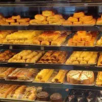 جذب نیروی خانم