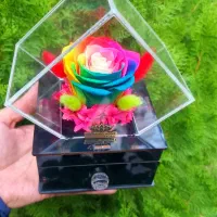 گل رز جاودان طبیعی کشودار موزیکال در رنگ مختلف