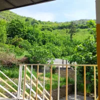 سوییت ویلا جنگلی