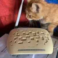 مودم اینترنت TP-Link