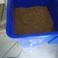 ادویه نان وسبزی نان|خوردنی و آشامیدنی|بیرجند, |دیوار