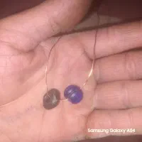 دوتا مهره قدیمی کبری سالم|کلکسیون اشیاء عتیقه|سیرجان, |دیوار