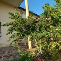 ویلا خانه باغ سه ساعت تا تهران فاصله|فروش خانه و ویلا|تهران, میرداماد|دیوار