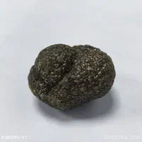 سنگ کلکسیونی