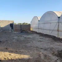 گلخانه|فروش دفتر صنعتی، کشاورزی، تجاری|سیب و سوران, |دیوار