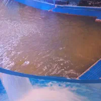 استخر vip خصوصی و خانوادگی در سرعین اب معدنی طبیعی