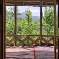 اجاره سوییت