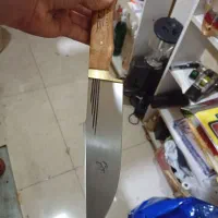 کبوتر|کلکسیون و سرگرمی|ایذه, |دیوار