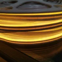 ریسه نئون|ریسه و چراغ تزئینی|قم, باغ شریفی|دیوار