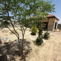 باغ-نیمه-کاره
