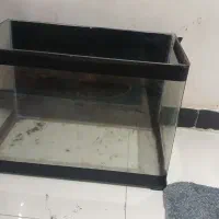 آکواریوم بزرگ شیشه خم