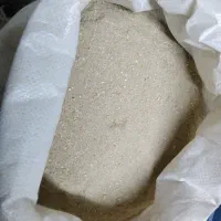 دان مرغ و اردک محلی