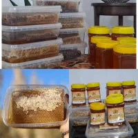 فروش مقداری عسل بدون موم و شانه