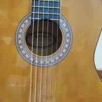 گیتار ماکسین|گیتار، بیس، امپلیفایر|تهران, سهروردی|دیوار