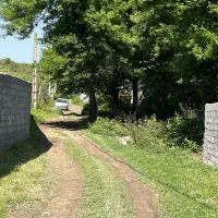 ۴۲۰ متر زمین در محله ی جنگلی بزچفت