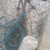 خیه ولنگر|ماهیگیری|بوشهر, |دیوار