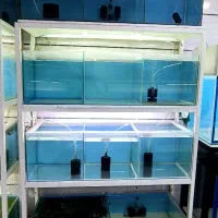 آکواریوم باپایه|ماهی|همدان, |دیوار