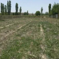 زمین به متراژ۱۵۰ متر خمه پایین دوبر