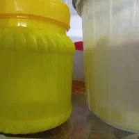 حیوانی