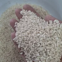 برنج درجه یک سوسن