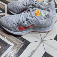 کفش استوک|کیف، کفش، کمربند|یاسوج, |دیوار