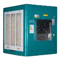 خدمات فنی|خدمات پیشه و مهارت|میانه, |دیوار