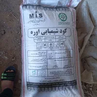 اشتری شیمیایی|خدمات باغبانی و درختکاری|حمیدیه, |دیوار