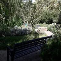 ۱۲۳ متر دو خواب( شیان لویزان )۲۵۰۰ متر حیاط سرسبز|فروش آپارتمان|تهران, بوستان شیان|دیوار