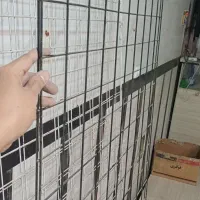 رگال توری|فروشگاه و مغازه|مشهد, شهید آوینی|دیوار