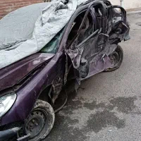 206 اس دی تصادفی