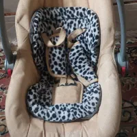 کالسکه وکریر دلیجان سالم