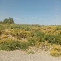فروش 60 عدد باغ یونجه در روستای دوچی