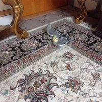 عروس هلندی گم شده