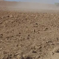 اجاره زمین دیم کشاورزی